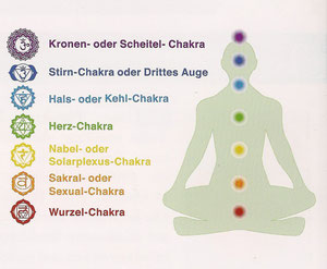 Meridianfluss - Praxis Alexander Dötzl, Bioenergetik Hollabrunn, Mistelbach, Stockerau, Korneuburg, Laa an der Thaya, Bioresonanz, Bio Scan, Akupunktur ohne Nadeln, CranioSacrale Körperarbeit, Schumann 3D Platte, Slimyonik, Kinesiologie, Aroma Touch Technique dōTERRA