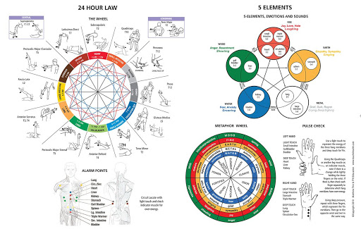 Meridianfluss - Praxis Alexander Dötzl, Bioenergetik Hollabrunn, Mistelbach, Stockerau, Korneuburg, Laa an der Thaya, Bioresonanz, Bio Scan, Akupunktur ohne Nadeln, CranioSacrale Körperarbeit, Schumann 3D Platte, Slimyonik, Kinesiologie, Aroma Touch Technique dōTERRA